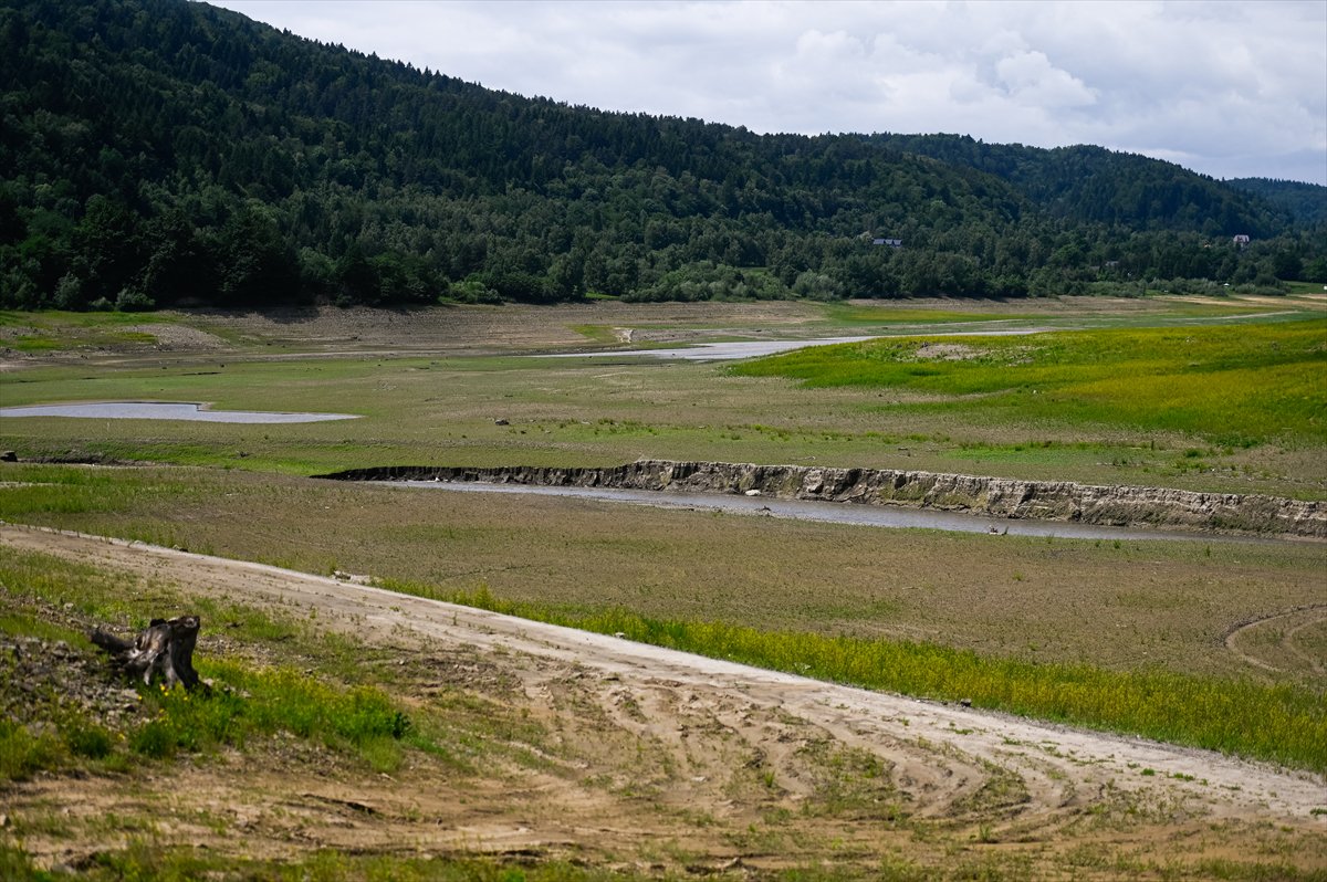 Polonya alarm veriyor, kuraklık su seviyesini dibe çekti