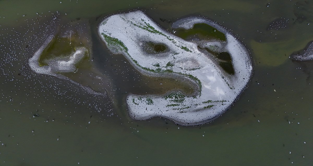 Kuşların Van Gölü'nde göç yolculuğu