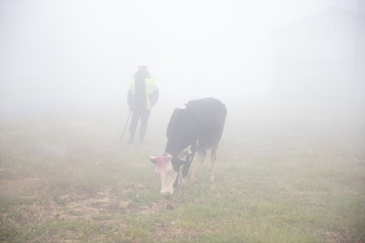 Sakarya'da besiciler geleneksel göçleri için 118'inci kez yola çıktı