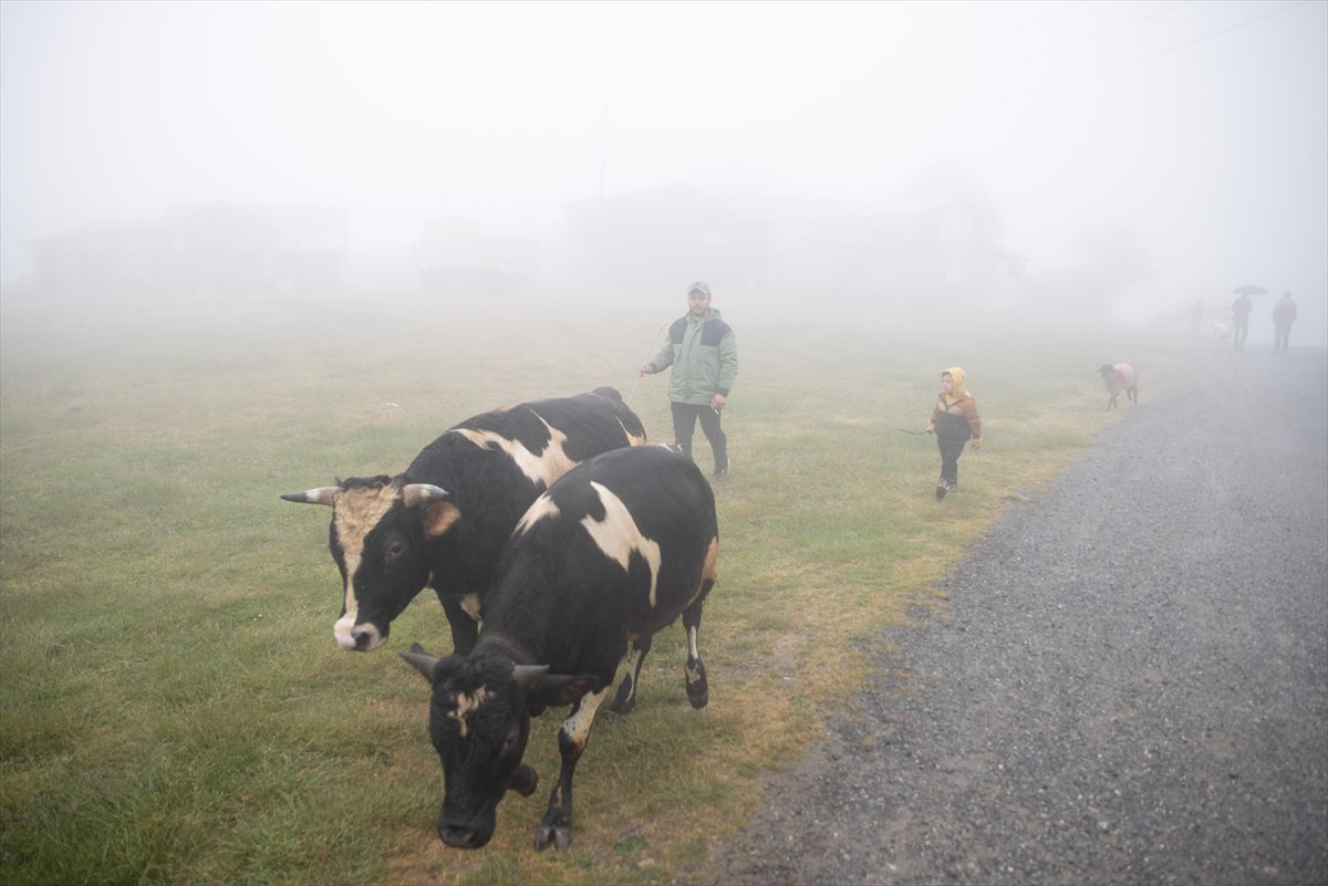 Sakarya'da besiciler geleneksel göçleri için 118'inci kez yola çıktı