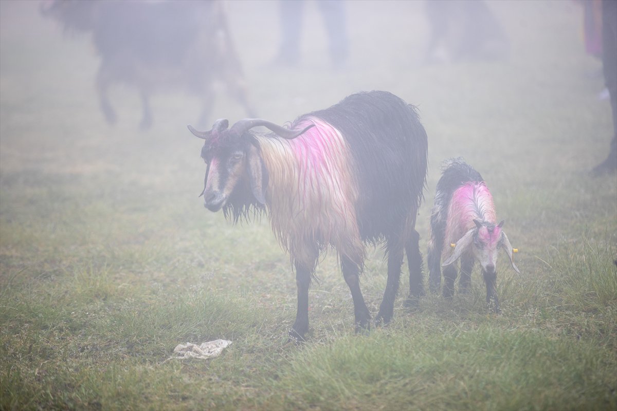 Sakarya'da besiciler geleneksel göçleri için 118'inci kez yola çıktı