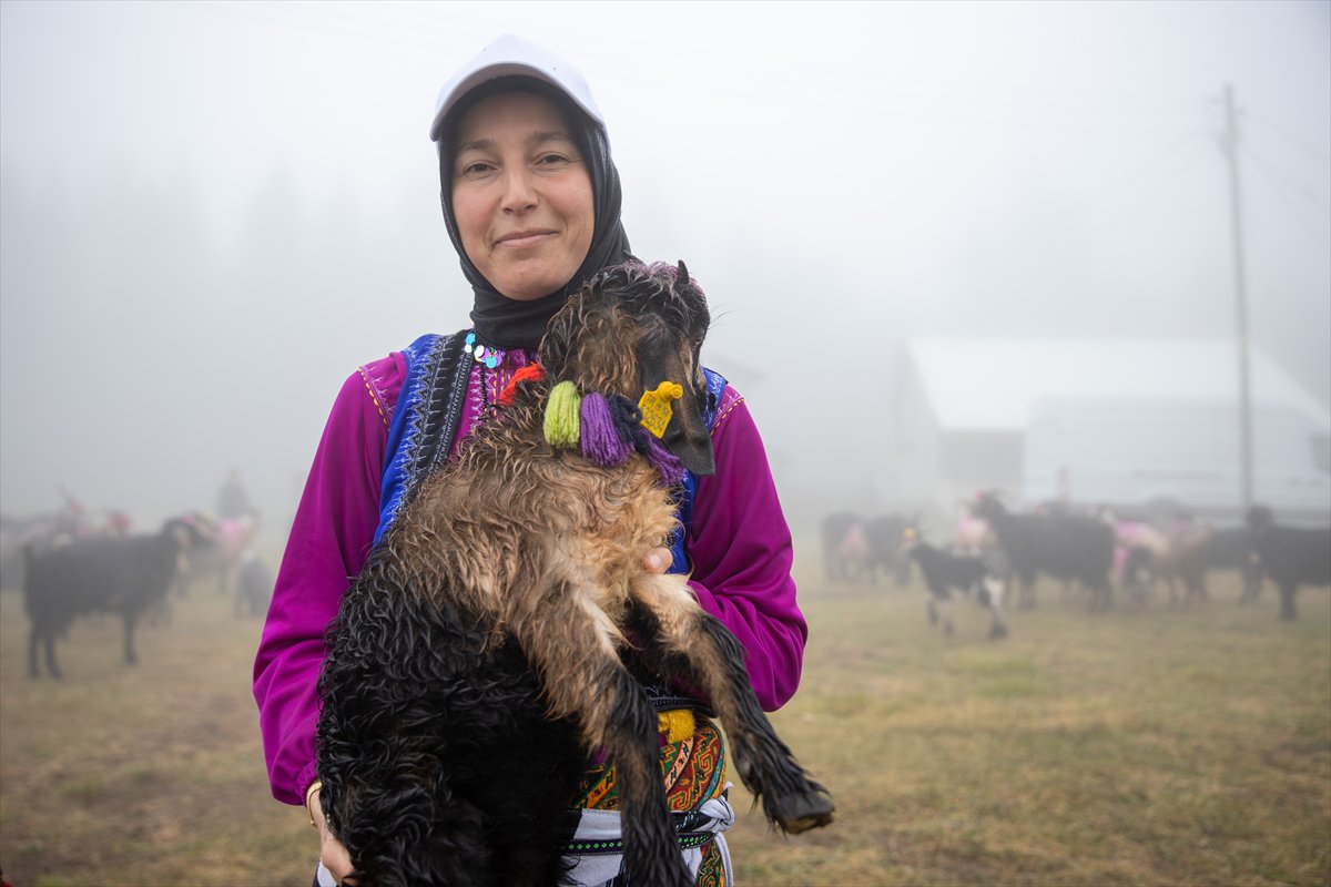 Sakarya'da besiciler geleneksel göçleri için 118'inci kez yola çıktı