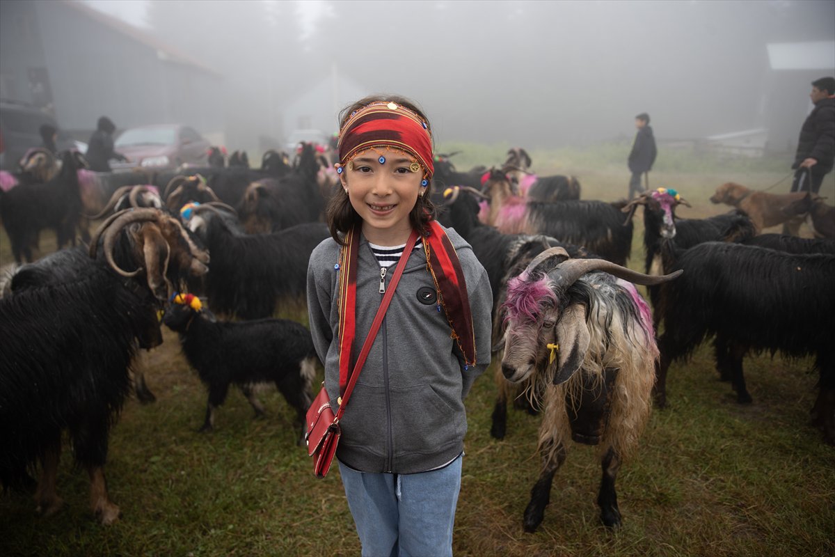 Sakarya'da besiciler geleneksel göçleri için 118'inci kez yola çıktı