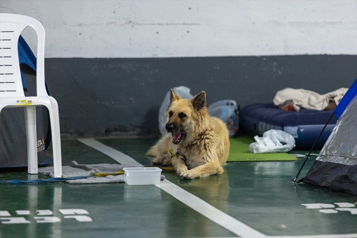 İsrailliler gecelerini sığınaklarda geçirdi: Ateşkesin ardından evlerine dönmeleri bekleniyor