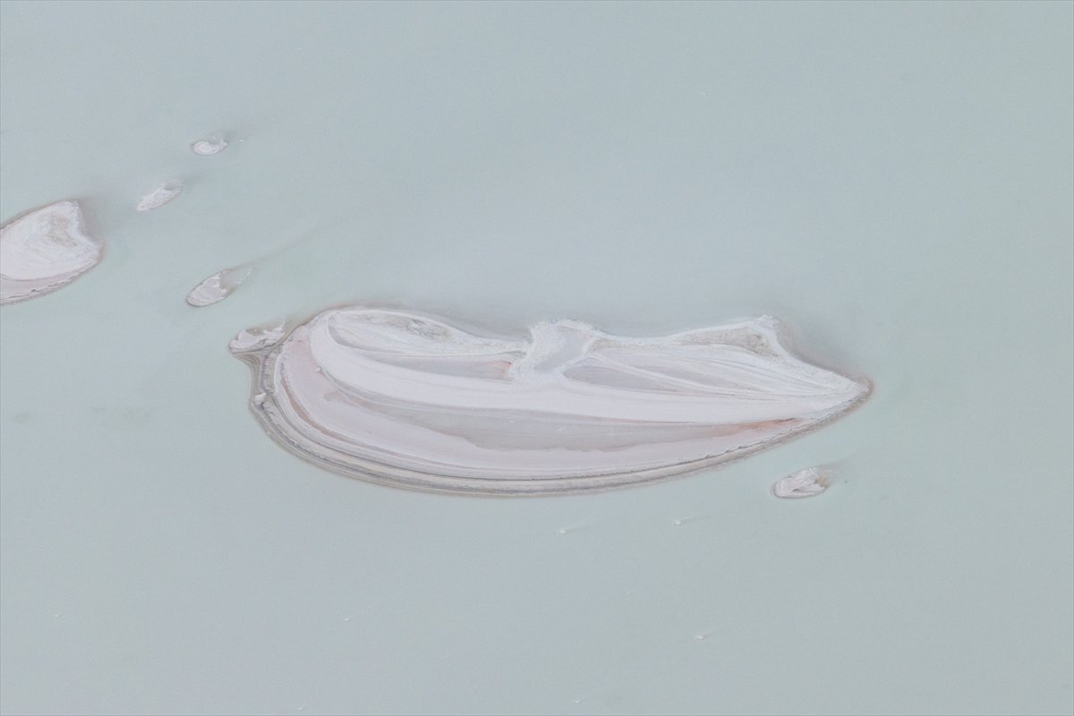 Tuz Gölü’ndeki su çekildi, flamingolar azaldı