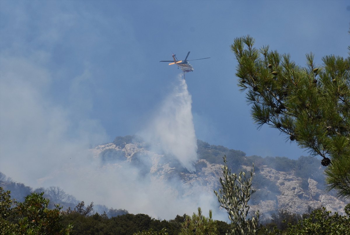 Türkiye’nin birçok noktasında orman yangınlarıyla mücadele devam ediyor