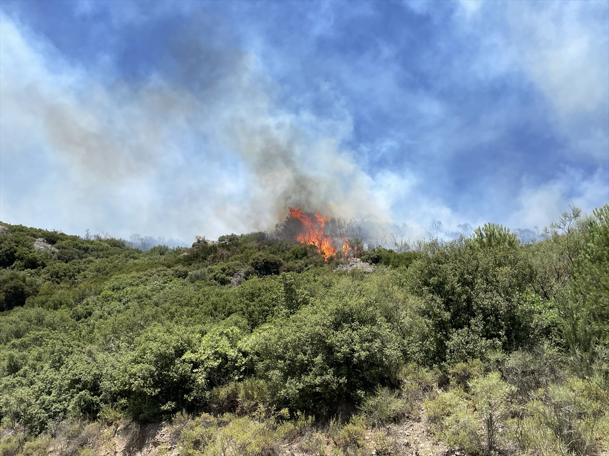 Türkiye’nin birçok noktasında orman yangınlarıyla mücadele devam ediyor