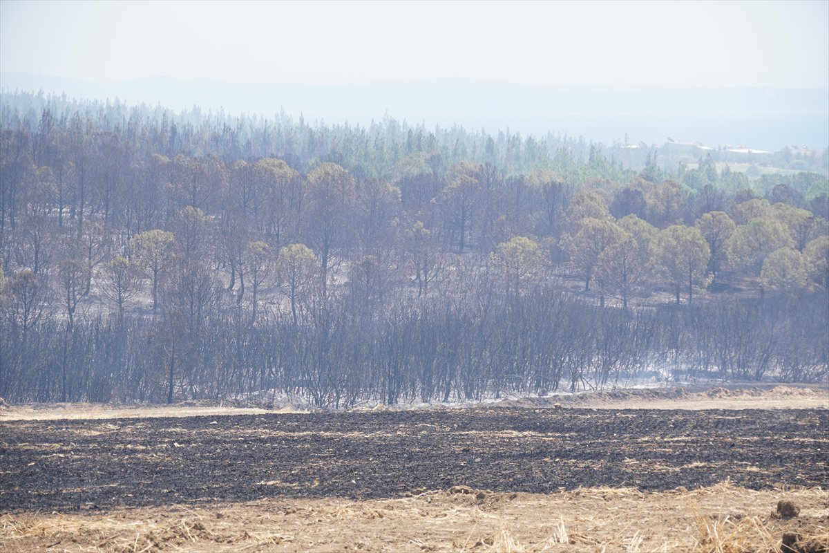 Türkiye’nin birçok noktasında orman yangınlarıyla mücadele devam ediyor
