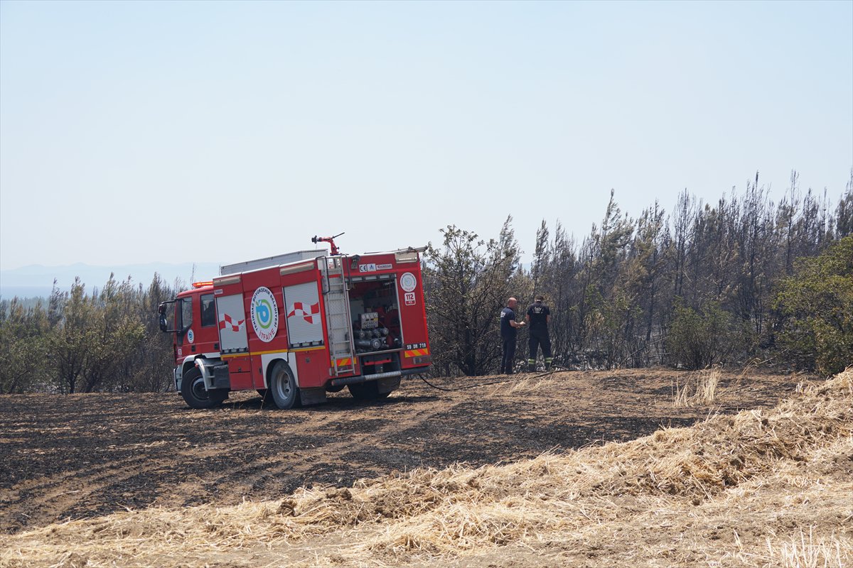 Türkiye’nin birçok noktasında orman yangınlarıyla mücadele devam ediyor