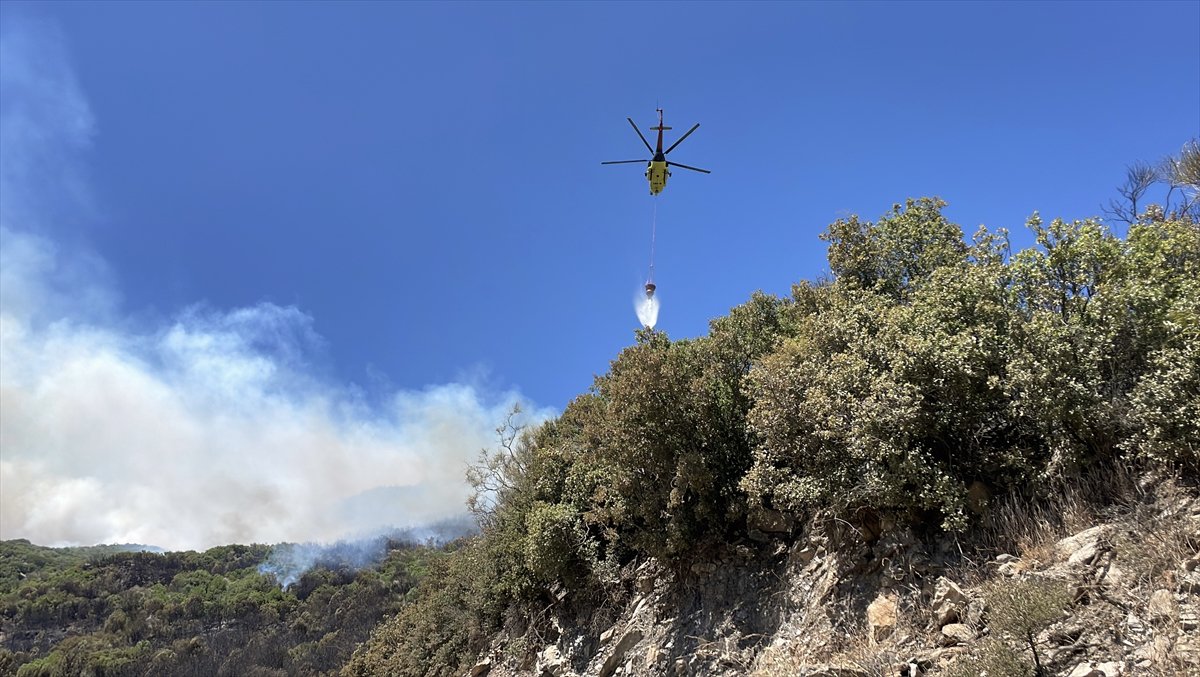 Türkiye’nin birçok noktasında orman yangınlarıyla mücadele devam ediyor