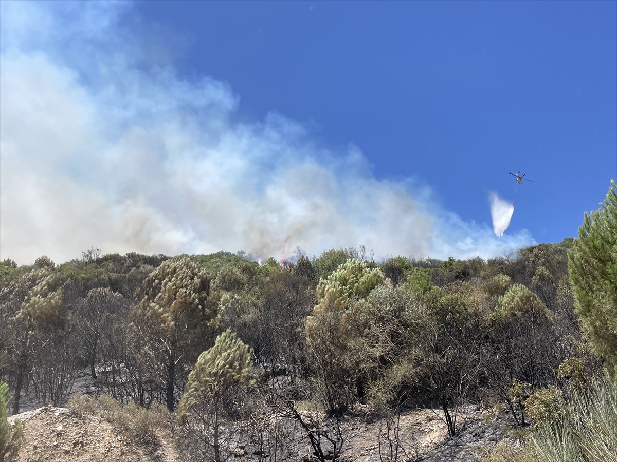 Türkiye’nin birçok noktasında orman yangınlarıyla mücadele devam ediyor