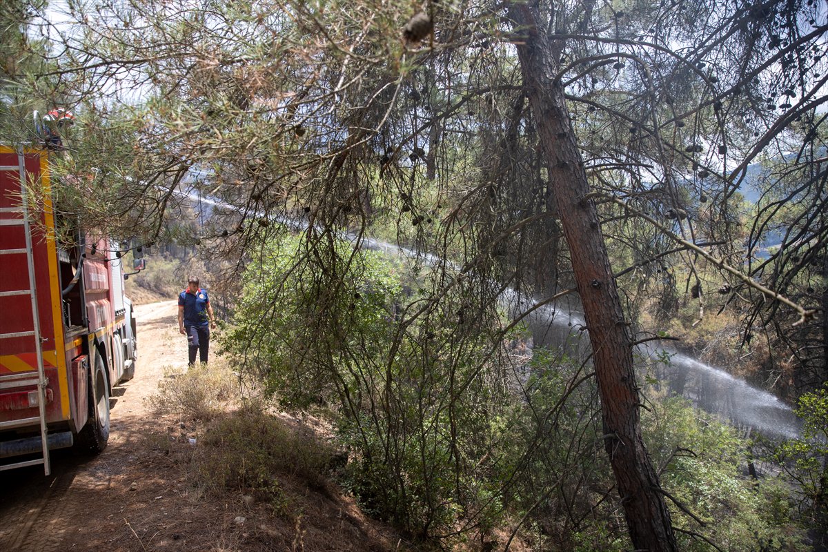 Türkiye’nin birçok noktasında orman yangınlarıyla mücadele devam ediyor