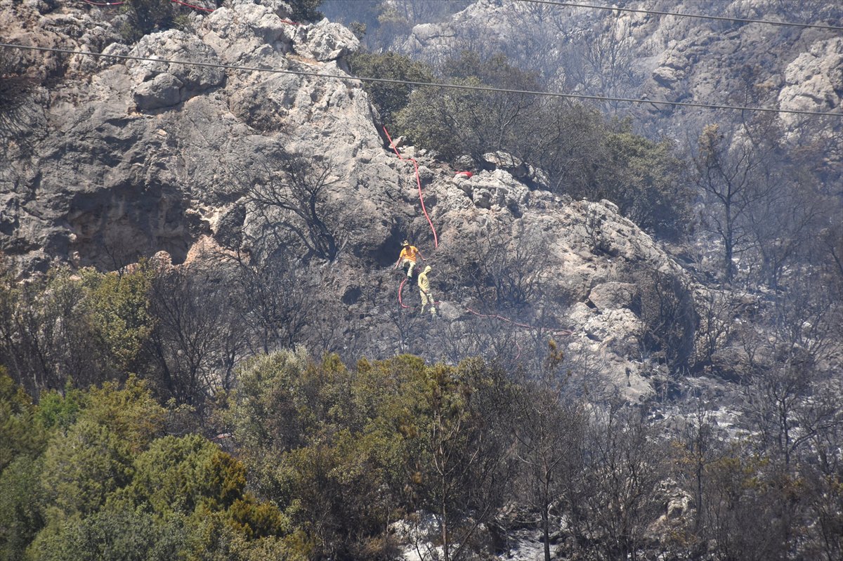 Türkiye’nin birçok noktasında orman yangınlarıyla mücadele devam ediyor