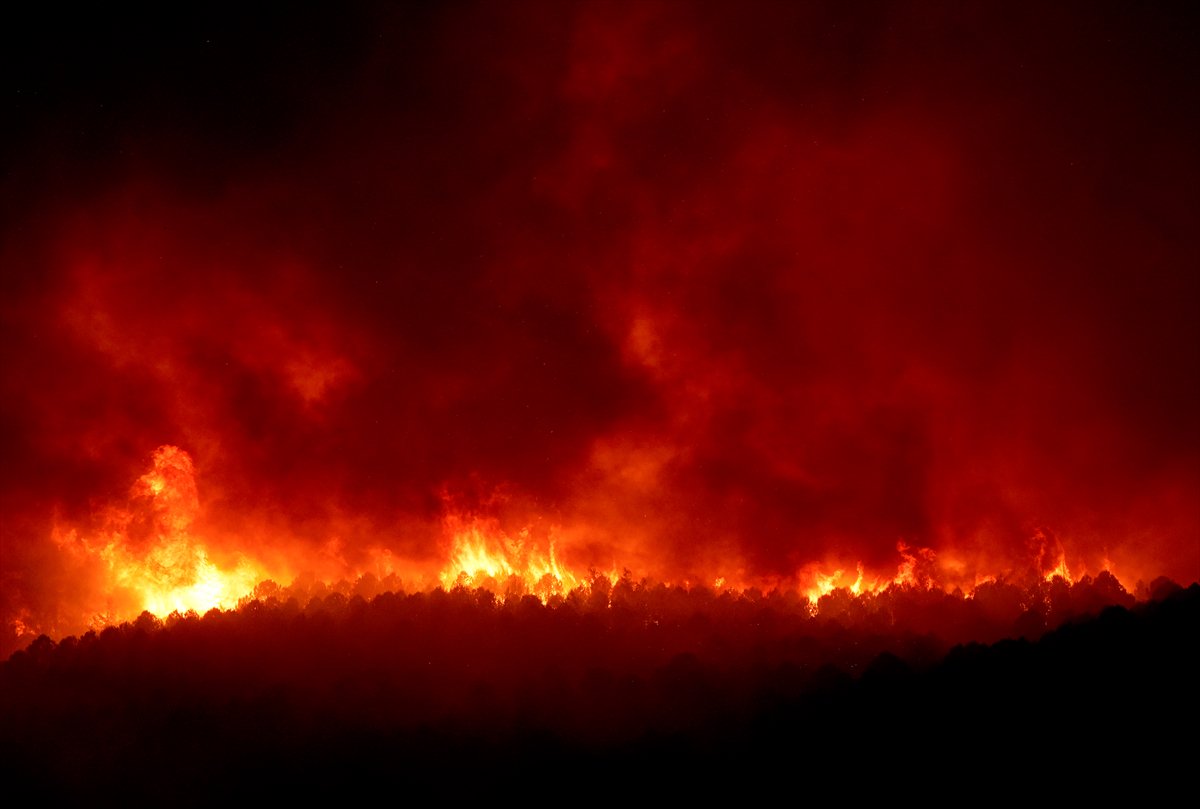 İzmir'in Buca ilçesindeki orman yangınına müdahale ediliyor
