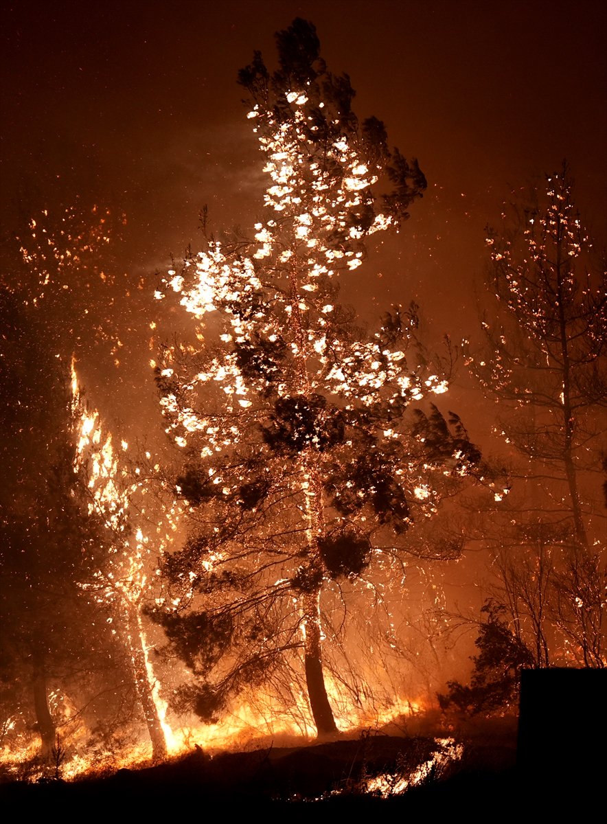 İzmir'in Buca ilçesindeki orman yangınına müdahale ediliyor