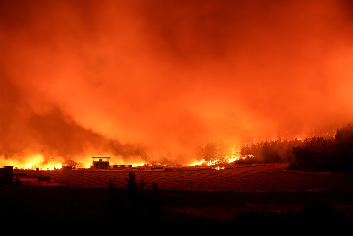 İzmir'in Buca ilçesindeki orman yangınına müdahale ediliyor