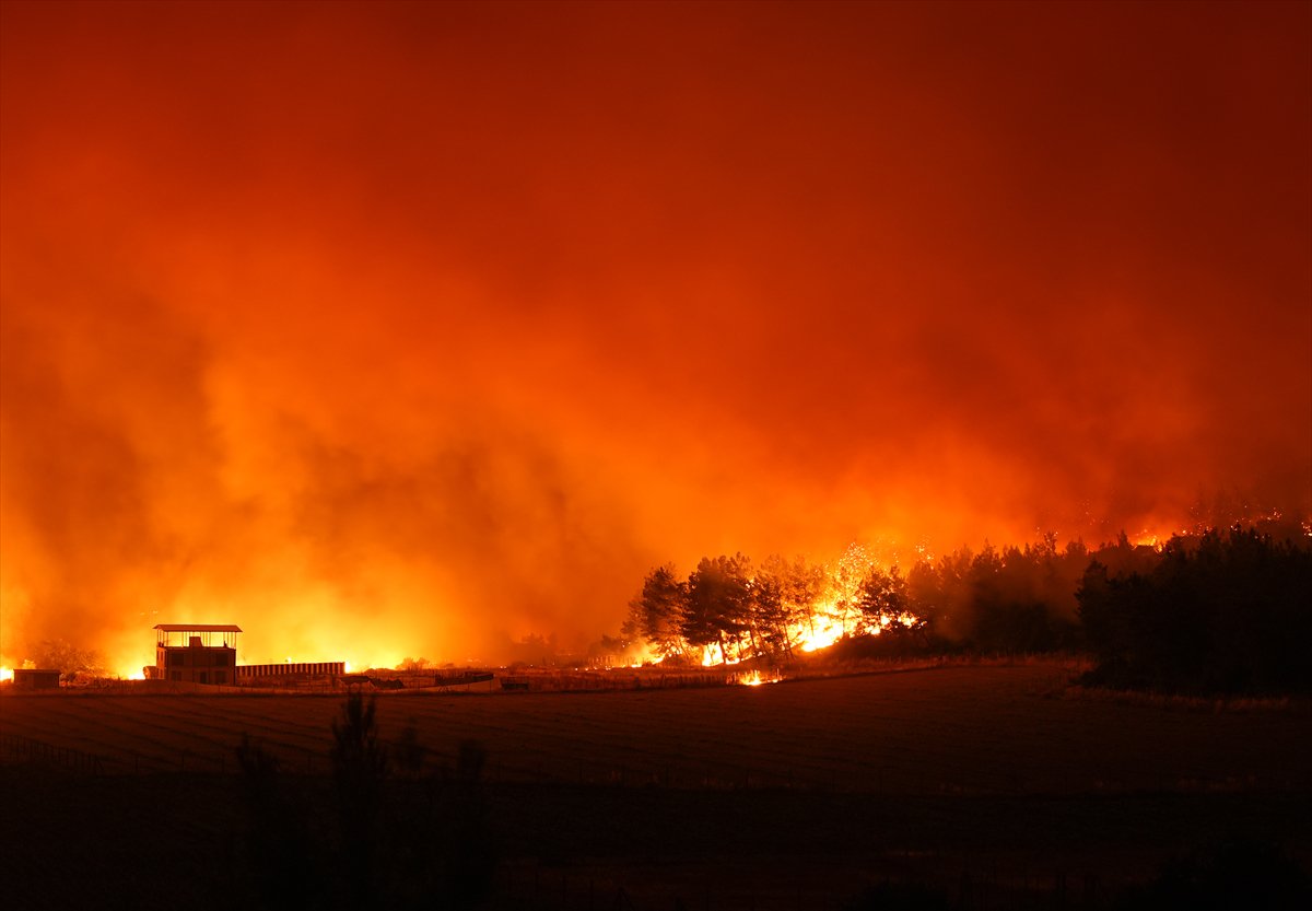 İzmir'in Buca ilçesindeki orman yangınına müdahale ediliyor