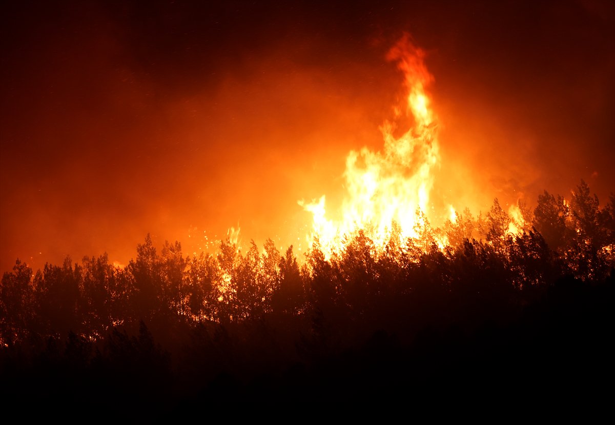 İzmir'in Buca ilçesindeki orman yangınına müdahale ediliyor