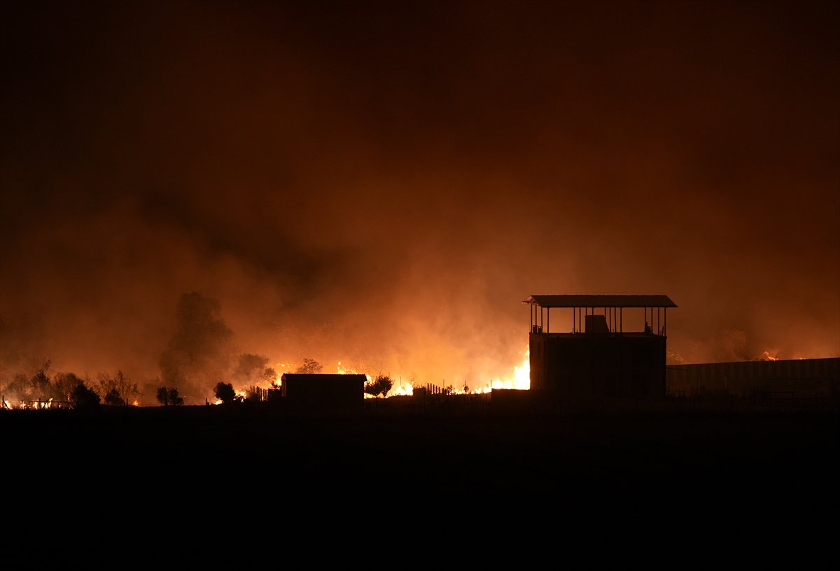 İzmir'in Buca ilçesindeki orman yangınına müdahale ediliyor