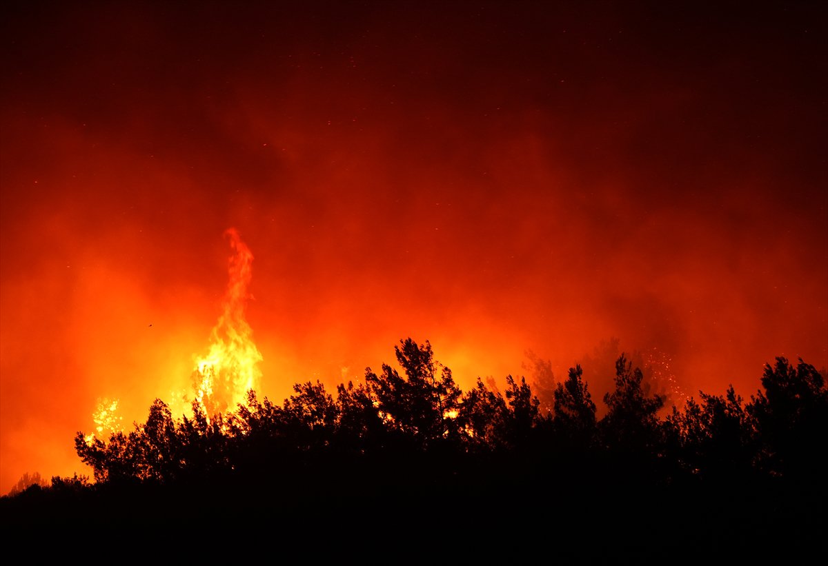 İzmir'in Buca ilçesindeki orman yangınına müdahale ediliyor