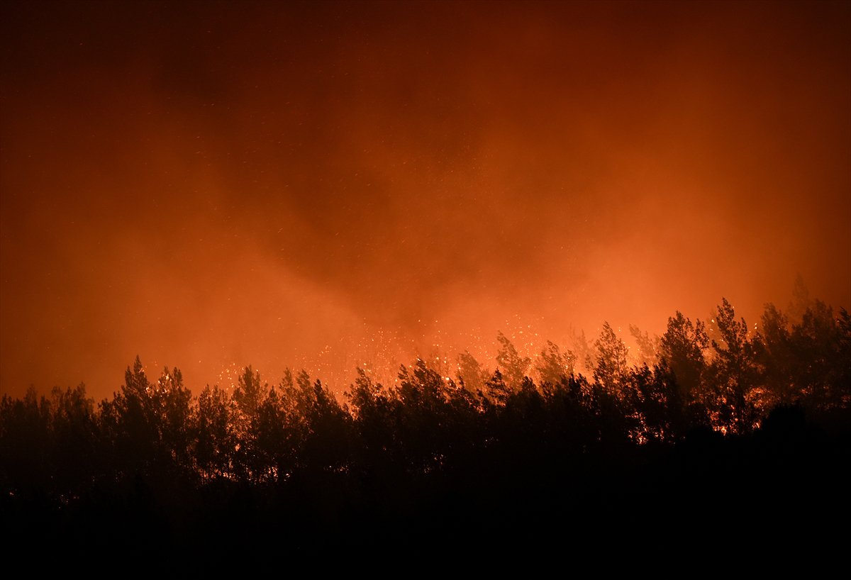 İzmir'in Buca ilçesindeki orman yangınına müdahale ediliyor