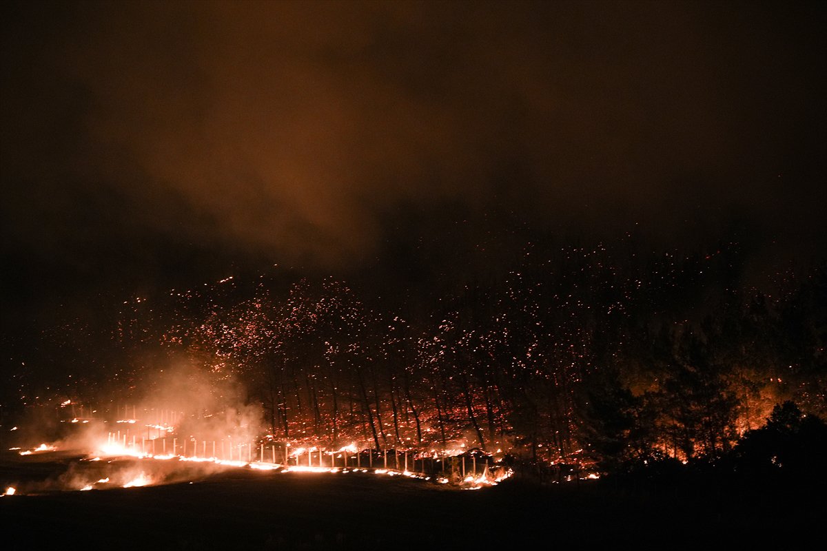 İzmir'in Buca ilçesindeki orman yangınına müdahale ediliyor