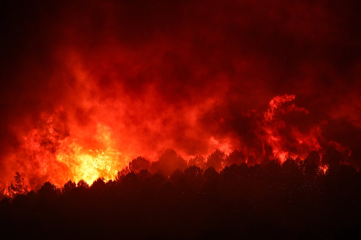 İzmir'in Buca ilçesindeki orman yangınına müdahale ediliyor