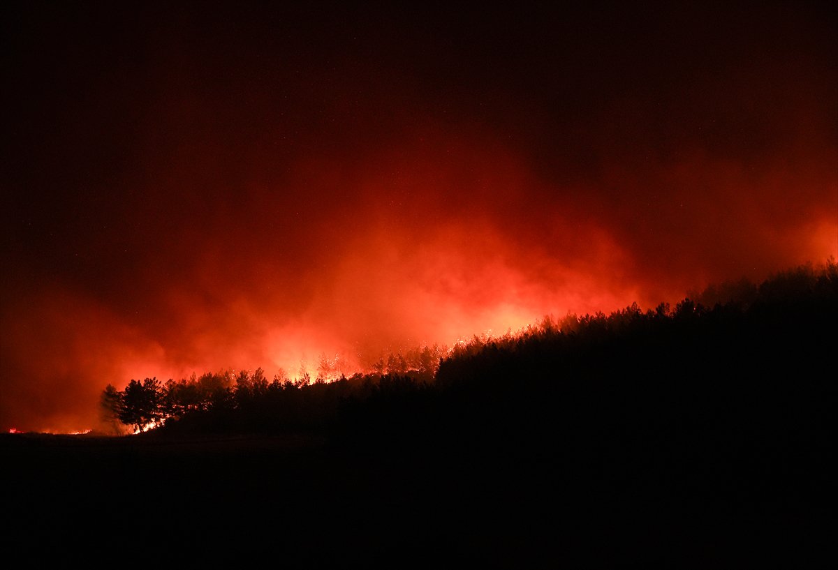 İzmir'in Buca ilçesindeki orman yangınına müdahale ediliyor