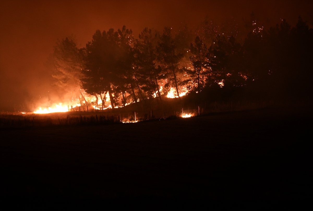İzmir'in Buca ilçesindeki orman yangınına müdahale ediliyor
