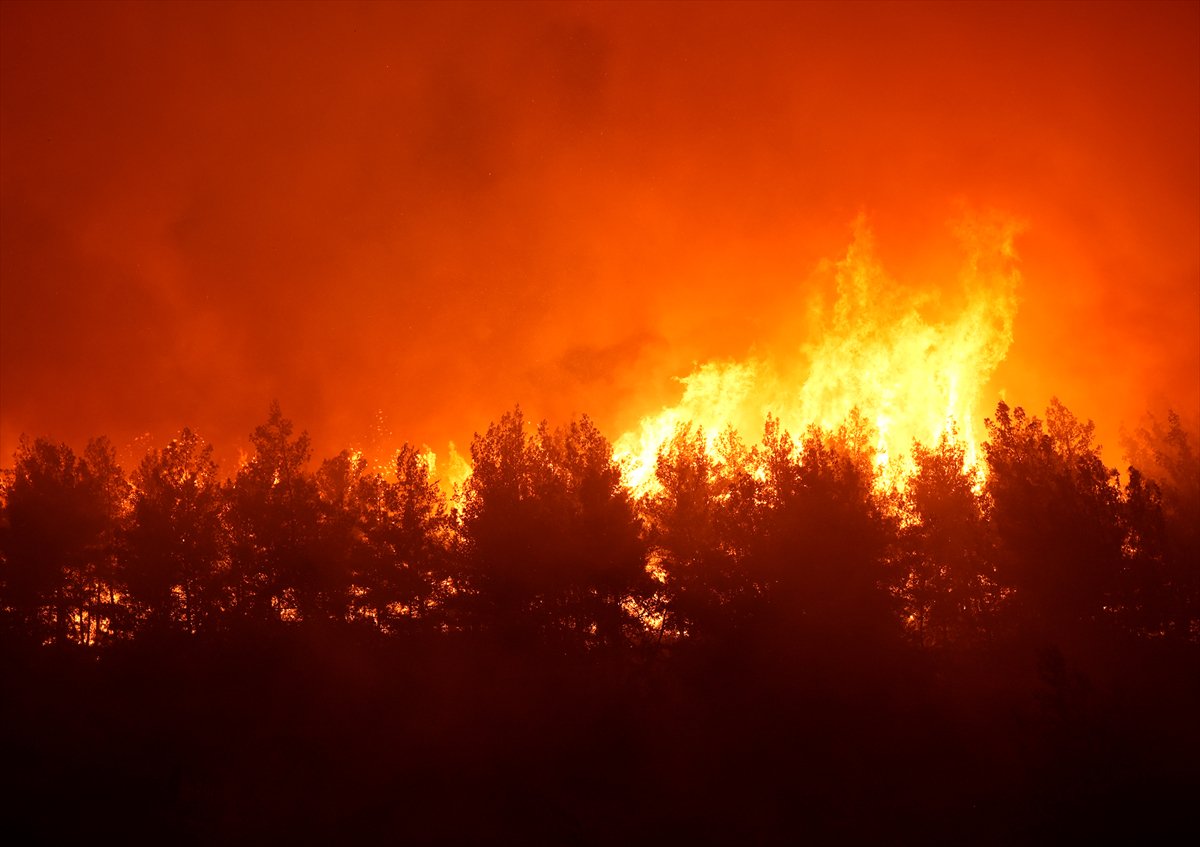 İzmir'in Buca ilçesindeki orman yangınına müdahale ediliyor