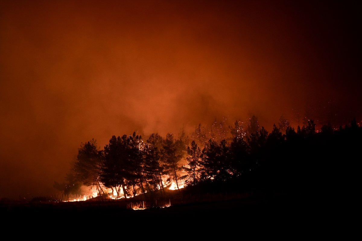 İzmir'in Buca ilçesindeki orman yangınına müdahale ediliyor