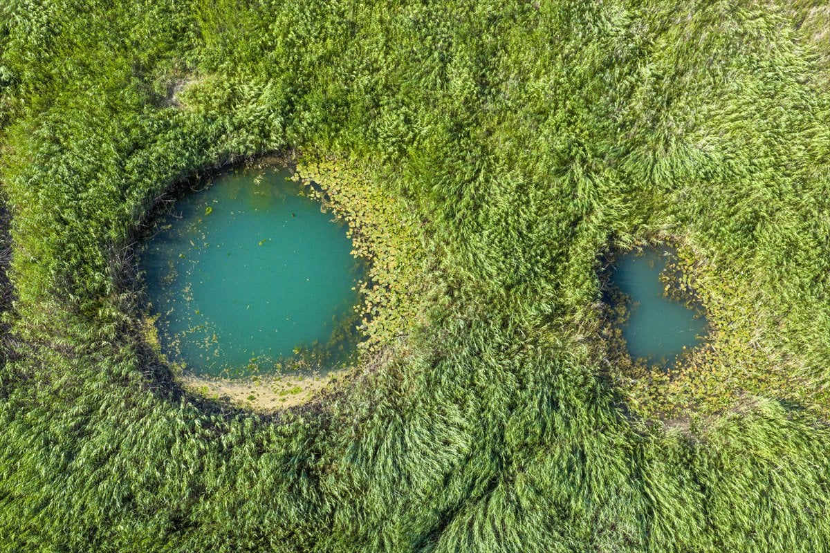 Beyşehir Gölü'nde kuraklık yeni 'göze'ler ortaya çıkardı