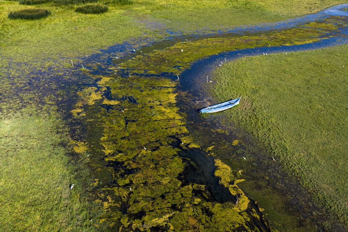 Beyşehir Gölü'nde kuraklık yeni 'göze'ler ortaya çıkardı