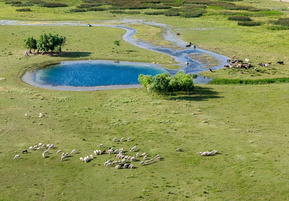 Beyşehir Gölü'nde kuraklık yeni 'göze'ler ortaya çıkardı