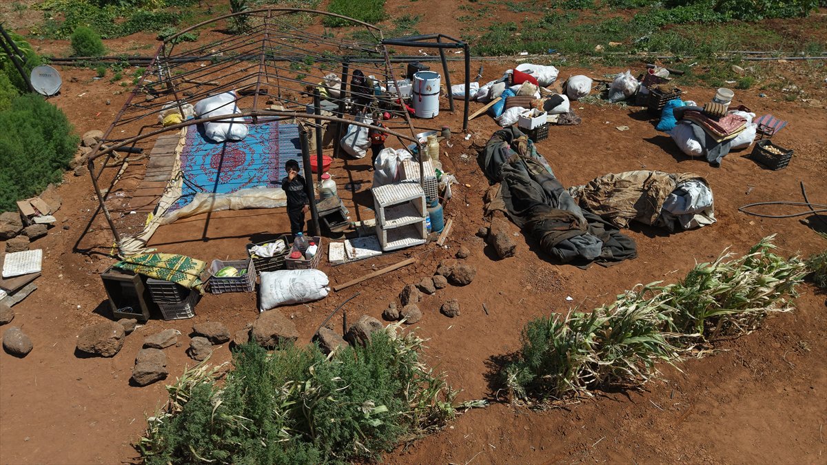 Süveyda'da çatışmalar şiddetlendi