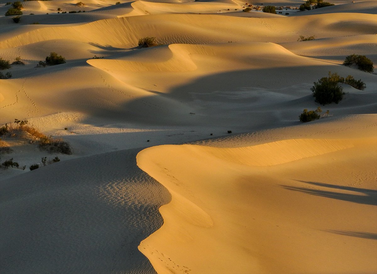 ABD'nin Ölüm Vadisi’nde sıcaklıklar 46 dereceyi aştı