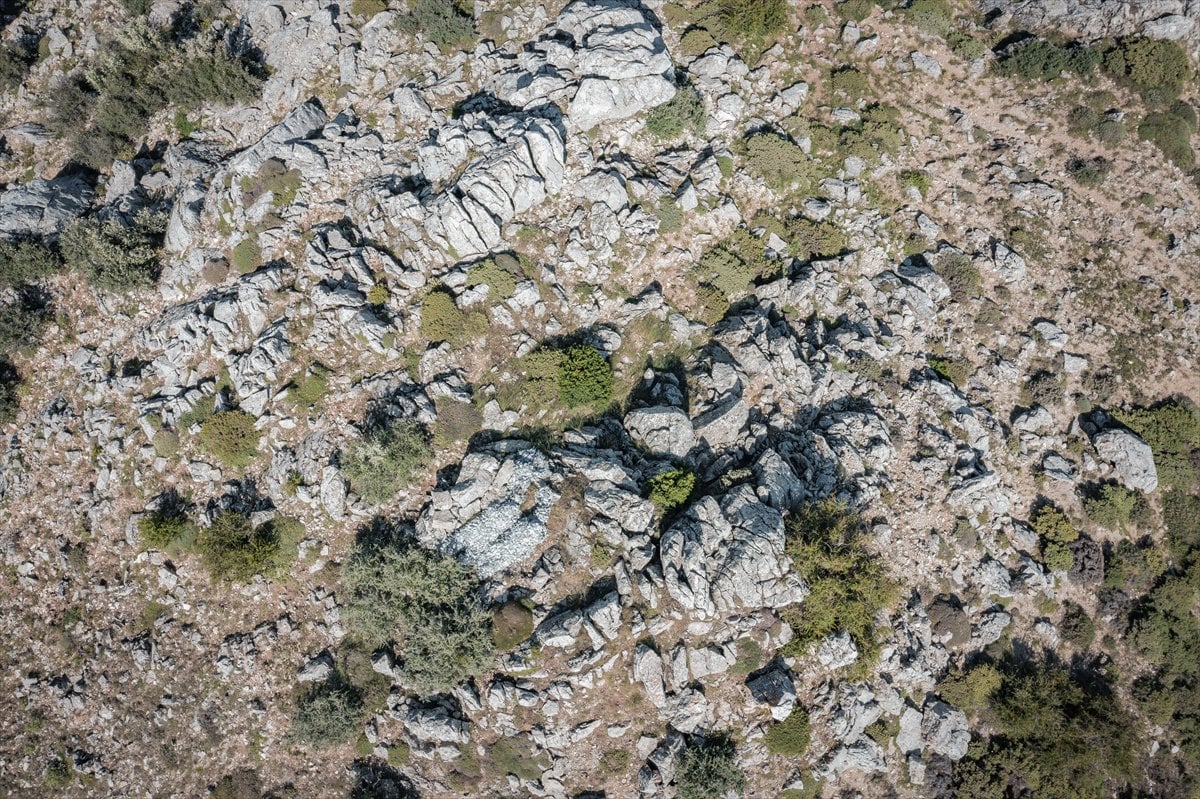 TSK'nın şampiyon keskin nişancıları, zorlu eğitimlerle göreve hazırlanıyor