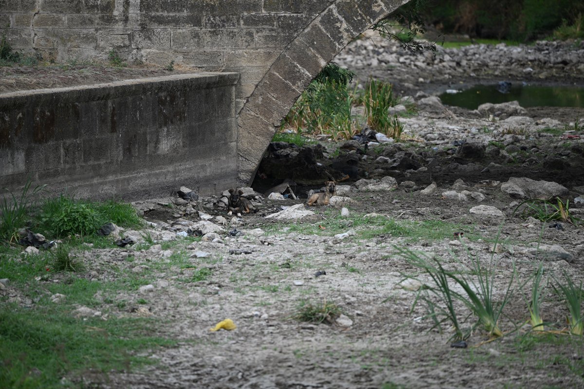 Tunca Nehri'nde su akışı tamamen durdu