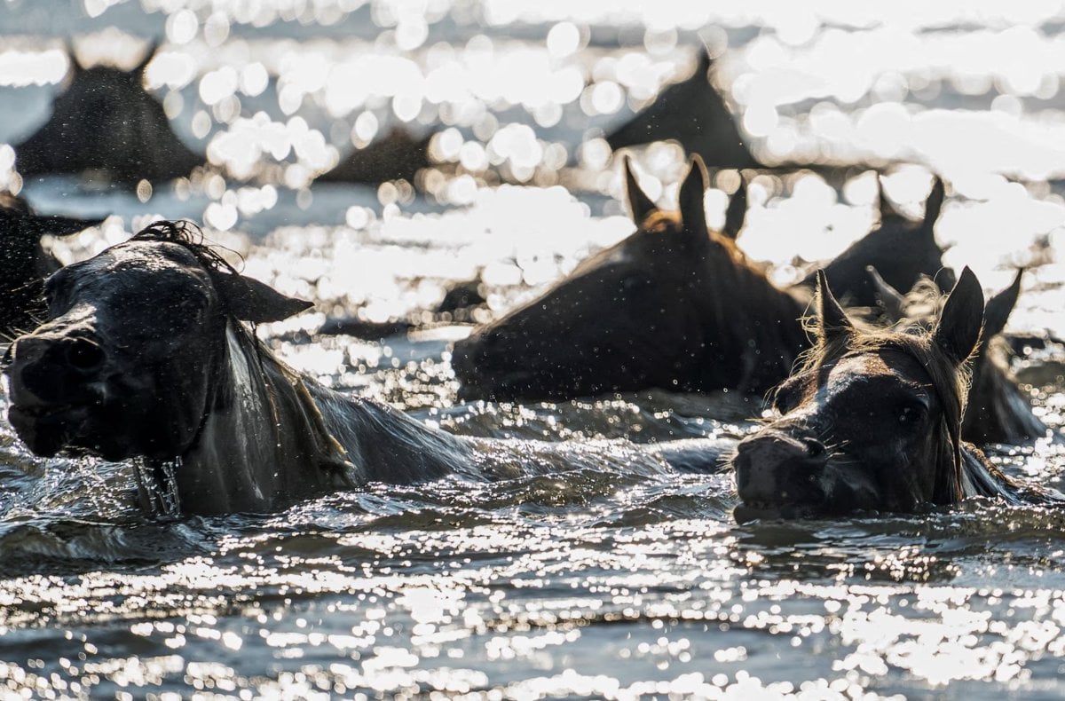 Reuters, haftanın en ilginç fotoğraflarını seçti