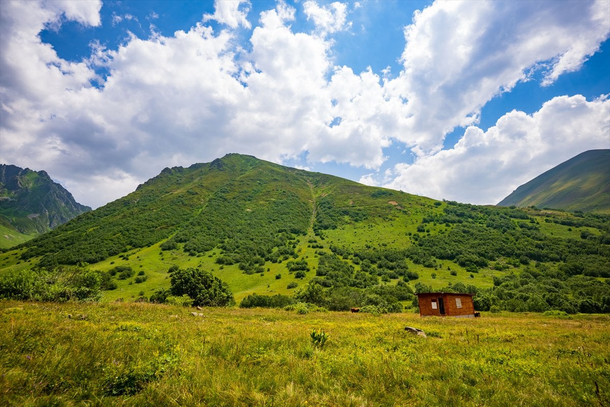 Doğa harikası Cimil Vadisi, ziyaretçilerine görsel şölen sunuyor