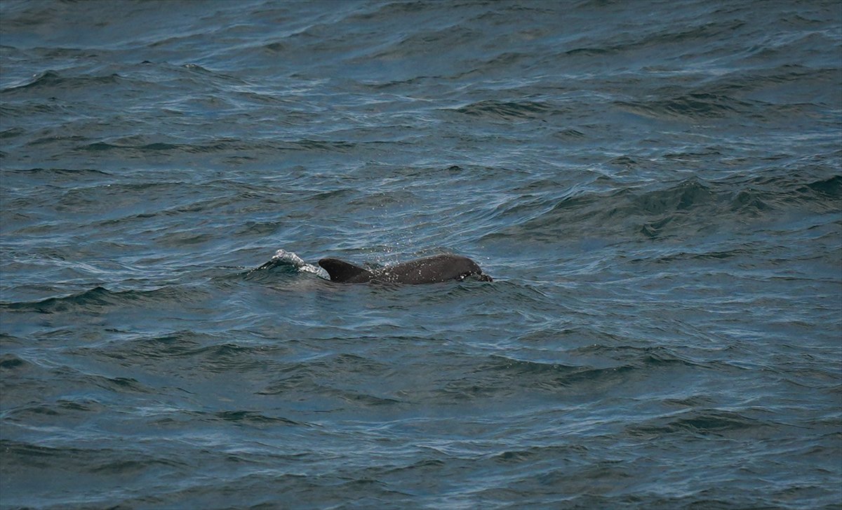 Türkiye’nin en kuzey noktası: Sinop