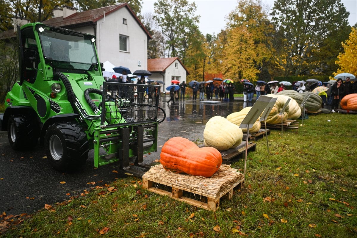 Polonya’da Dev Bal Kabağı Yarışması