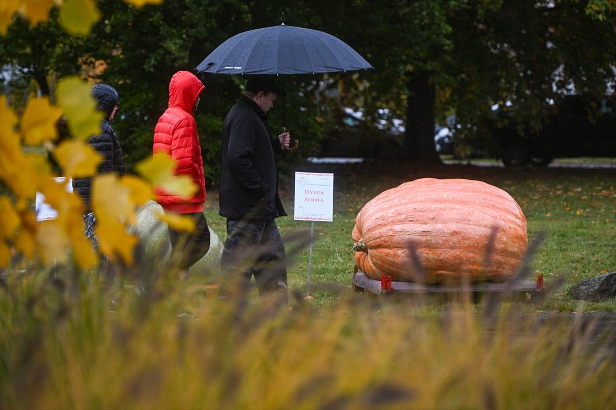Polonya’da Dev Bal Kabağı Yarışması