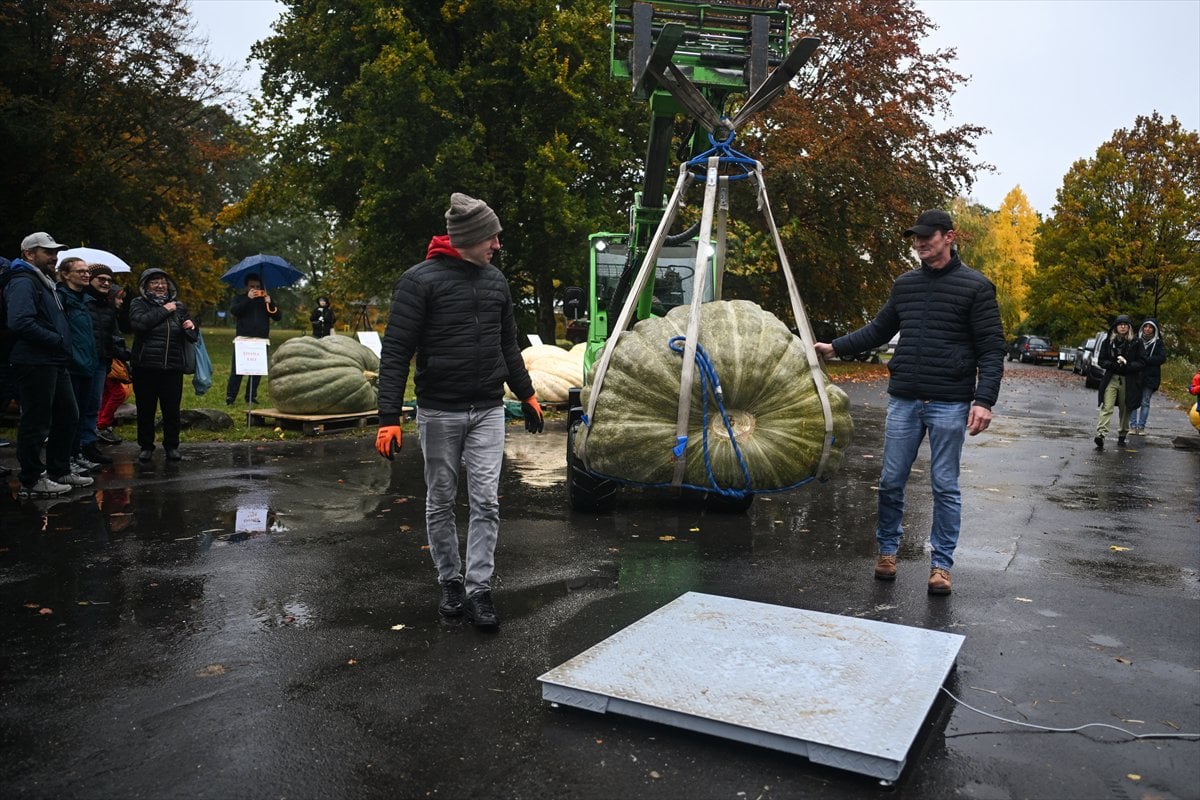 Polonya’da Dev Bal Kabağı Yarışması