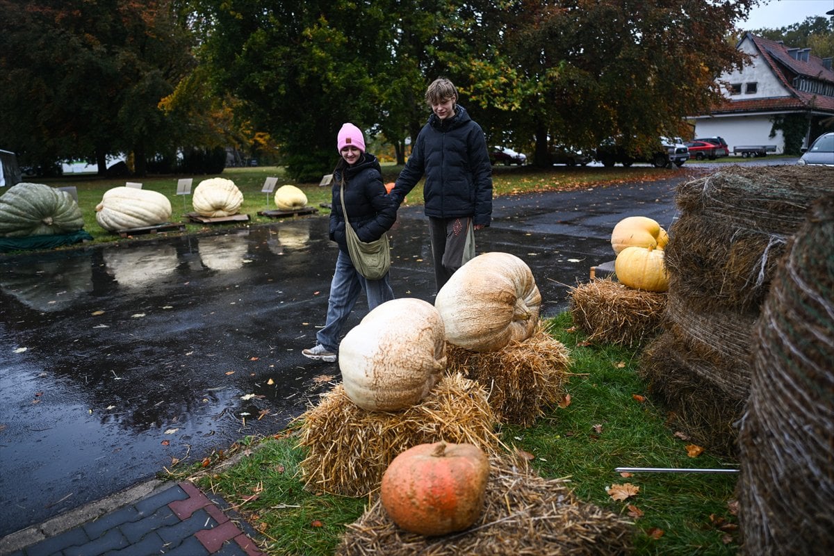 Polonya’da Dev Bal Kabağı Yarışması