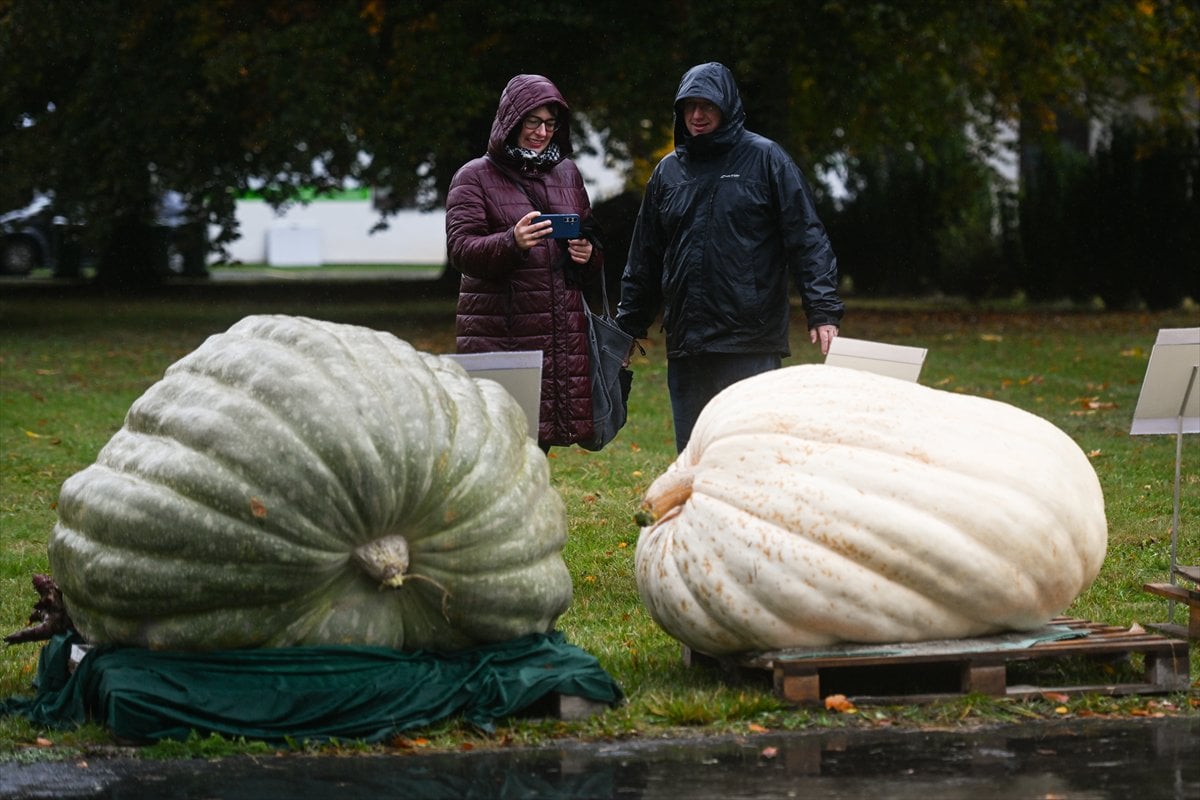 Polonya’da Dev Bal Kabağı Yarışması