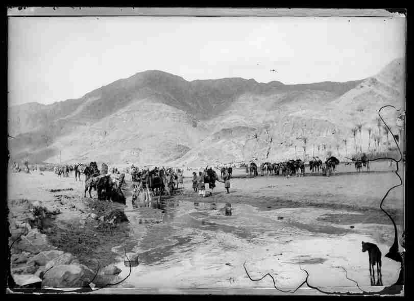 Fahreddin Paşa'nın 600'den fazla fotoğrafı erişime açıldı