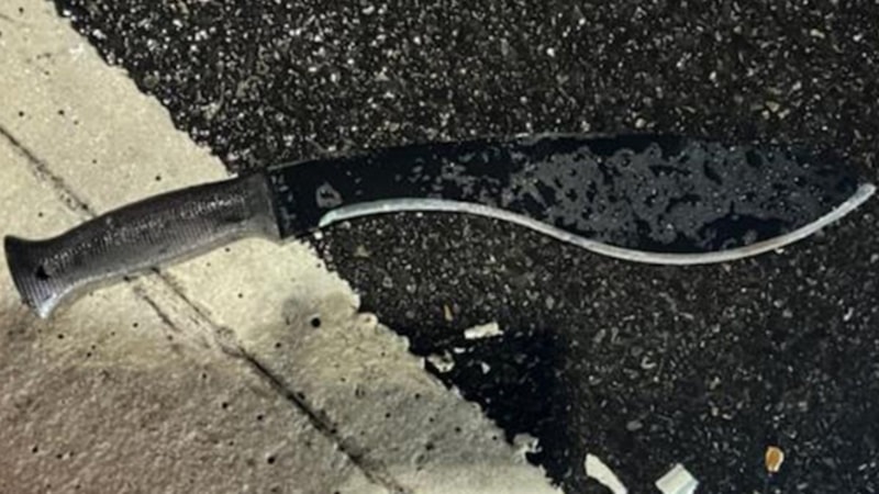 ABD'deki yeni yıl kutlamaları sırasında polise palalı saldırı