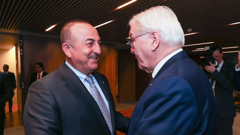 Bakan Çavuşoğlu, Almanya Cumhurbaşkanı ile görüştü