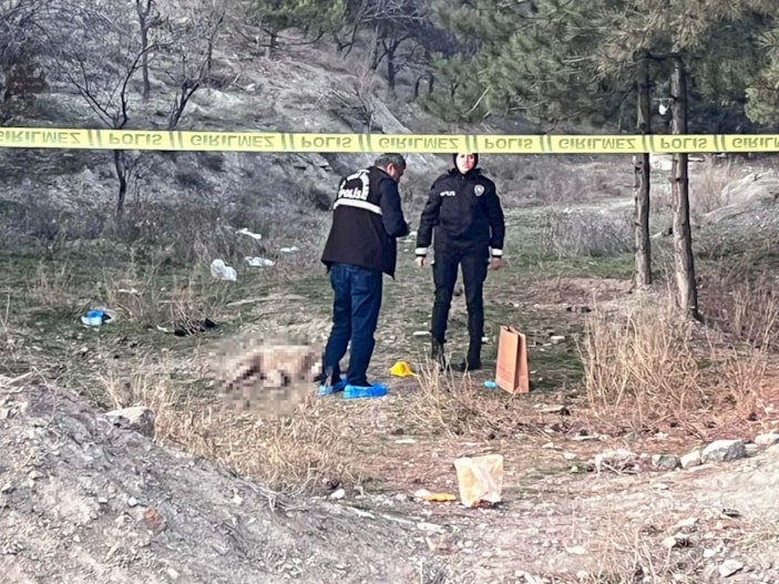 Ankara'da tüfekle vurulmuş 4 köpek ölüsü bulundu -1